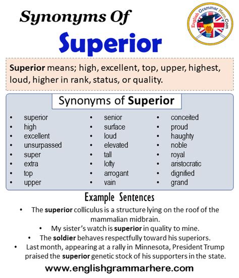 superior synonym|supreme synonym.